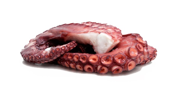 105724_PATAS_PULPO.jpg